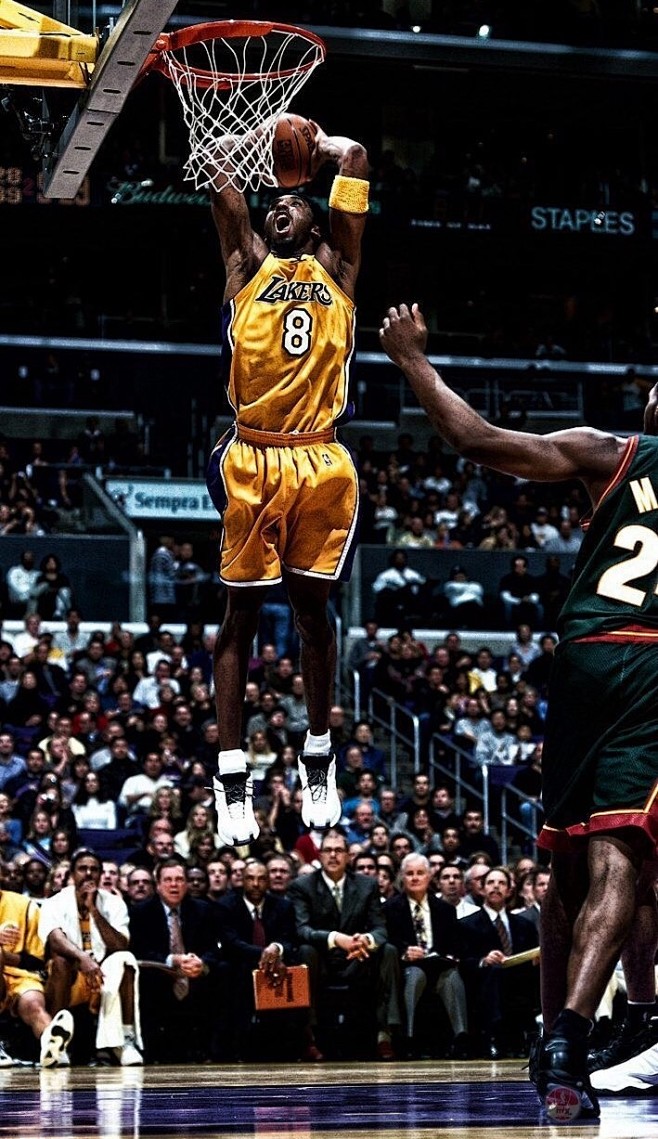 与网络优化 与网络优化